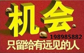 代理中的戰(zhàn)斗機(jī) hz代理小顏，助您領(lǐng)航商海新高度
